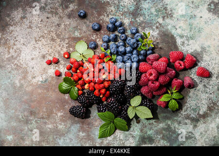 Un assortimento di frutti di bosco freschi con foglie su sfondo di metallo Foto Stock