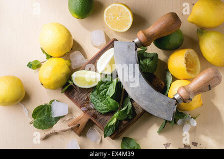 Cumulo di tutto e a fettine i limoni e limette e menta con coltello e cubetti di ghiaccio sul piccolo tagliere di legno su sfondo di legno. Foto Stock