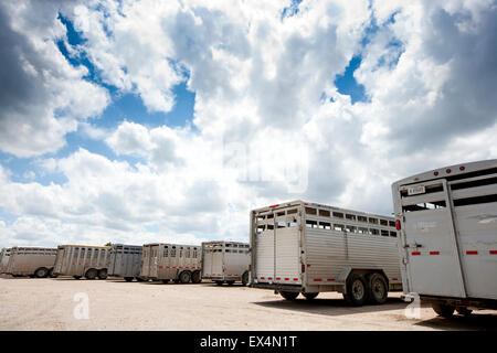 Lexington mercato del bestiame, Nebraska, STATI UNITI D'AMERICA Foto Stock