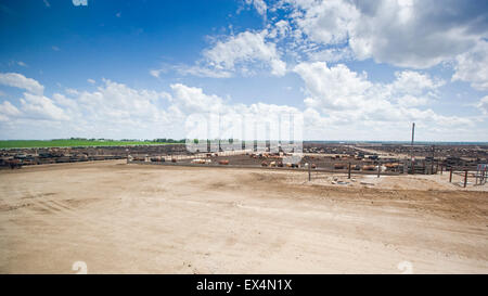 Carni bovine Feedyard vicino a North Platt, Nebraska, STATI UNITI D'AMERICA Foto Stock