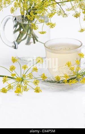 Il finocchio( Foeniculum vulgare) Fiori e la tazza di tè su sfondo bianco Foto Stock