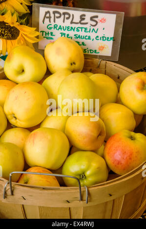 Moggio della mela gravenstein vicino alla città di caduta, Washington, Stati Uniti d'America Foto Stock