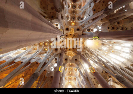 Il soffitto interno della cattedrale della Sagrada Familia di Antoni Gaudi, Barcelona, Spagna Europa Foto Stock