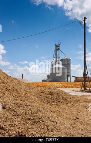 Carni bovine Feedyard vicino a North Platt, Nebraska, STATI UNITI D'AMERICA Foto Stock