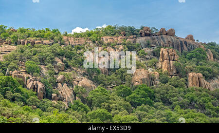 Una lussureggiante vegetazione sulle colline rocciose presso la periferia di Gaborone, Botswana Foto Stock