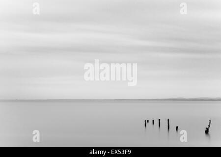 In bianco e nero lunga esposizione di pali di legno che conducono al mare. Prese a Steart paludi sul Canale di Bristol Foto Stock