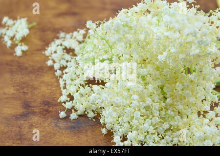 Lâ elderflower fresco bouquet su un marrone tavolo in legno Foto Stock