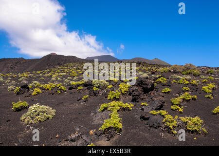ESP, Spagna, Canarie, l'isola di La Palma, lava solidificata del vulcano Teneguia presso la costa vicino a Fuencaliente. L'ESP Foto Stock