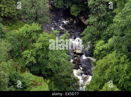 Il flusso Bode scinde il suo modo attraverso la foresta in giù a Roßtrappe vicino a Thale, una posizione nella regione di Harz (Sassonia-Anhalt), Germania, 22 giugno 2015. La regione è detto essere un local area ricreativa e è particolarmente popolare con gli escursionisti e i passeggini. Foto: Hendrik Schmidt Foto Stock