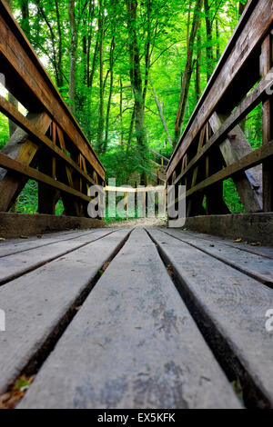 Ponte di legno attraverso la foresta Foto Stock