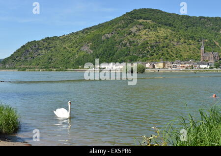 Lorchhausen con il fiume Reno patrimonio mondiale Unesco Foto Stock