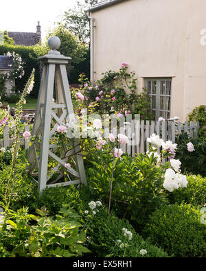 Impianto stand in giardino cottage con rose e siepe di bosso Foto Stock