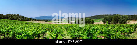 Splendida vista panoramica delle Montagne Sainte-Victoire, Provenza, Francia Foto Stock