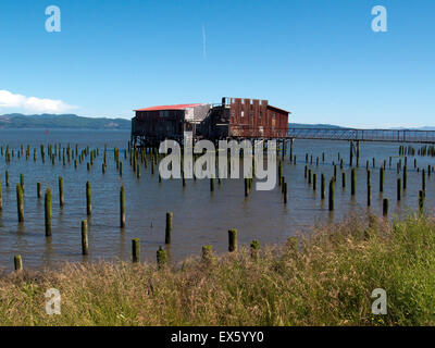 Astoria, Oregon, Stati Uniti d'America. Astoria lungomare dove centinaia di palificazioni di restare dove pescare i conservifici utilizzato per riposare. © Becky Matthews Foto Stock