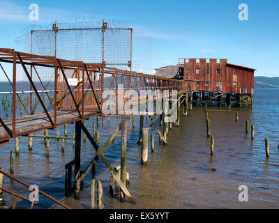 Astoria, Oregon, Stati Uniti d'America. Astoria lungomare dove centinaia di palificazioni di restare dove pescare i conservifici utilizzato per riposare. © Becky Matthews Foto Stock