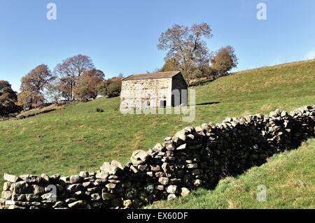 Fienile e stalattite parete in Muker Swaledale Yorkshire Regno Unito Foto Stock