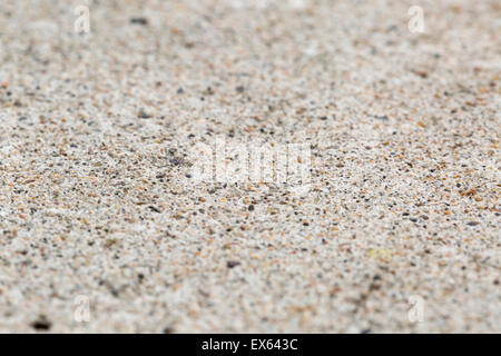 Olad parete grunge texture in stucco, macro closeup Foto Stock