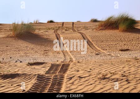 Tracce di pneumatici nel deserto di sabbia, percorso da Atar a Tidjikja, regione di Adrar, Mauritania Foto Stock
