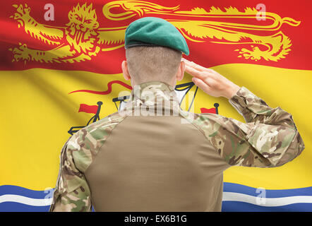 Soldato che plaude alla provincia canadese serie tricolore - New Brunswick Foto Stock