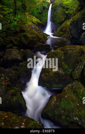 I diavoli conca cascata fiume Vartry Devils Glen County Wicklow Irlanda RM Foto Stock