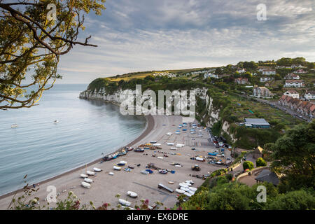 Birra, Devon, Inghilterra Foto Stock