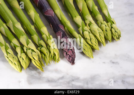 Il fogliame di Asparagus asparago verde e rosso e viola, Asparagus officinalis, spring molla verdure, ortaggi, piante, delicatamente s Foto Stock