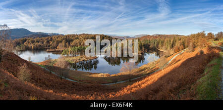 Tarn Hows panorama autunno Lake District UK Foto Stock