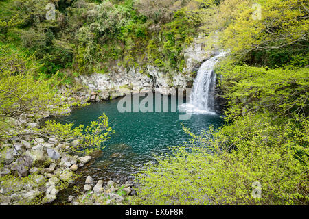 Cheonjeyeon n. 3 cascata. Cheonjeyoen cade (mezzi lo stagno di Dio) consiste di 3 cade. Foto Stock