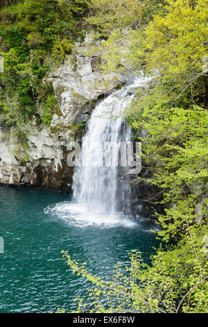 Cheonjeyeon n. 3 cascata. Cheonjeyoen cade (mezzi lo stagno di Dio) consiste di 3 cade. Una varietà di vita vegetale, inclusa Psilo Foto Stock