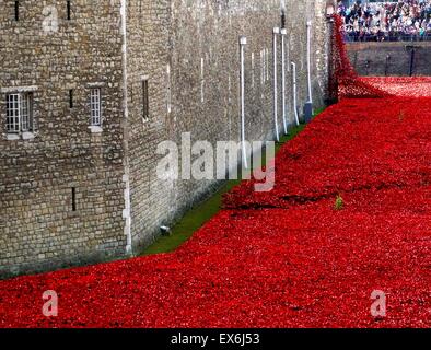 Installazione artistica intitolato " sangue spazzata di terre e mari di Rosso". Il fossato asciutto è stato riempito con 800.000 papaveri in ceramica per commemorare la Prima Guerra Mondiale centenario. Creato da un artista di ceramica Paolo Cummins e palcoscenico teatrale designer Tom Piper. Foto Stock