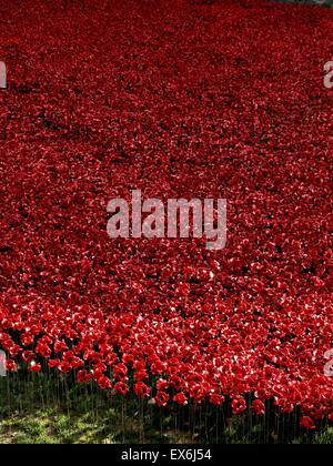 Installazione artistica intitolato " sangue spazzata di terre e mari di Rosso". Il fossato asciutto è stato riempito con 800.000 papaveri in ceramica per commemorare la Prima Guerra Mondiale centenario. Creato da un artista di ceramica Paolo Cummins e palcoscenico teatrale designer Tom Piper. Foto Stock