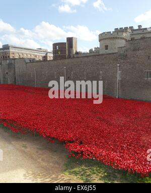 Installazione artistica intitolato " sangue spazzata di terre e mari di Rosso". Il fossato asciutto è stato riempito con 800.000 papaveri in ceramica per commemorare la Prima Guerra Mondiale centenario. Creato da un artista di ceramica Paolo Cummins e palcoscenico teatrale designer Tom Piper. Foto Stock