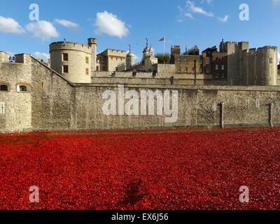 Installazione artistica intitolato " sangue spazzata di terre e mari di Rosso". Il fossato asciutto è stato riempito con 800.000 papaveri in ceramica per commemorare la Prima Guerra Mondiale centenario. Creato da un artista di ceramica Paolo Cummins e palcoscenico teatrale designer Tom Piper. Foto Stock