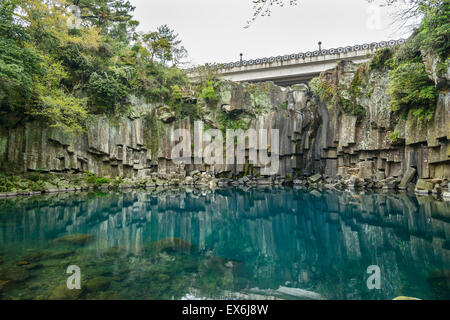 Cheonjeyeon n. 1 cascata. Cheonjeyoen cade (mezzi lo stagno di Dio) consiste di 3 cade. Una varietà di vita vegetale, inclusa Psilo Foto Stock