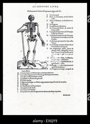 Illustrazione da 'Les oeuures d'Ambroise pare?" 1585 da Ambroise pare?, 1510-1590 chirurgo francese e anatomista Foto Stock