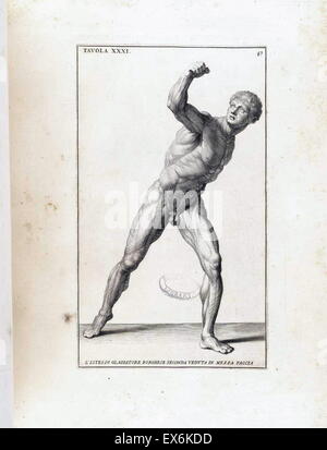 Studio anatomico da Bernardino Genga 'Anatomia per uso et intelligenza del disegno ricercata non solo su gl'ossi, e muscoli del corpo humano'. (Roma, 1691). Bernardino Genga (1620-1690) era uno studioso di musica classica testi medici, la modifica di alcune opere di Hi Foto Stock