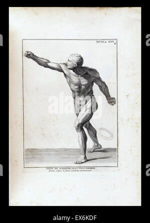 Studio anatomico da Bernardino Genga 'Anatomia per uso et intelligenza del disegno ricercata non solo su gl'ossi, e muscoli del corpo humano'. (Roma, 1691). Bernardino Genga (1620-1690) era uno studioso di musica classica testi medici, la modifica di alcune opere di Hi Foto Stock