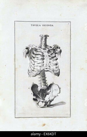 Studio anatomico da Bernardino Genga 'Anatomia per uso et intelligenza del disegno ricercata non solo su gl'ossi, e muscoli del corpo humano'. (Roma, 1691). Bernardino Genga (1620-1690) era uno studioso di musica classica testi medici, la modifica di alcune opere di Hi Foto Stock