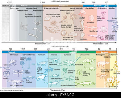 Tempo geologico scala Foto Stock
