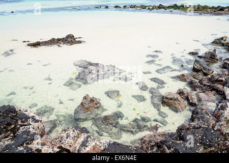 Woljeongri spiaggia di Jeju Island, Corea. Woljeong beach è famosa per la sabbia bianca e uno splendido scenario. Foto Stock