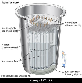 In pressione del reattore acqua: nocciolo del reattore Foto Stock