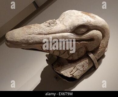 Stucco maya Pelican testa dal palazzo di Comalcalco, Tabasco, Messico. Messico (600-900 AD). In Maya cosmologia, terra è completamente circondata dal mare. Il uccelli di mare erano ben progettati come intermediari tra le diverse parti della univers Foto Stock