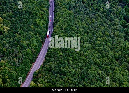 Divergenti su strada attraverso una foresta, sopra visualizza Foto Stock