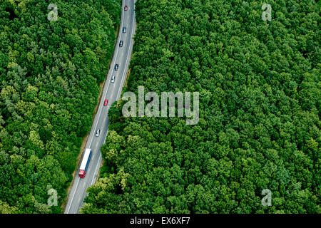 Divergenti su strada attraverso una foresta, sopra visualizza Foto Stock