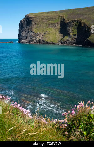 Crackington Haven sul Cornish Coast, Cornwall, England, Regno Unito Foto Stock