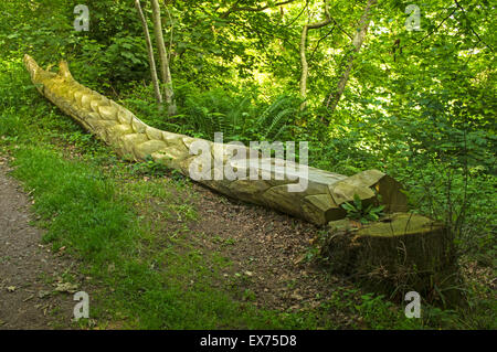 Un albero caduto scolpiti a guardare come un drago con sede a Dingle, Locale Riserva Naturale, Llangefni, Anglesey, Galles Foto Stock