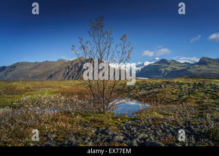 Rientrano paesaggi Skaftafell National Park, ghiacciaio Svinafellsjokull in background, Islanda. Foto Stock