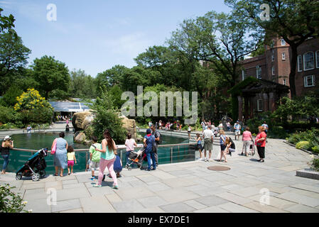 I visitatori attorno ai leoni di mare area a Central Park Zoo Manhattan New York STATI UNITI D'AMERICA Foto Stock