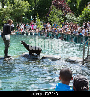 I leoni di mare intrattenere i visitatori a Central Park Zoo Manhattan New York STATI UNITI D'AMERICA Foto Stock