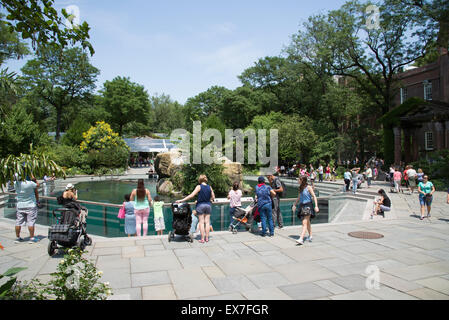 I visitatori attorno ai leoni di mare area a Central Park Zoo Manhattan New York STATI UNITI D'AMERICA Foto Stock